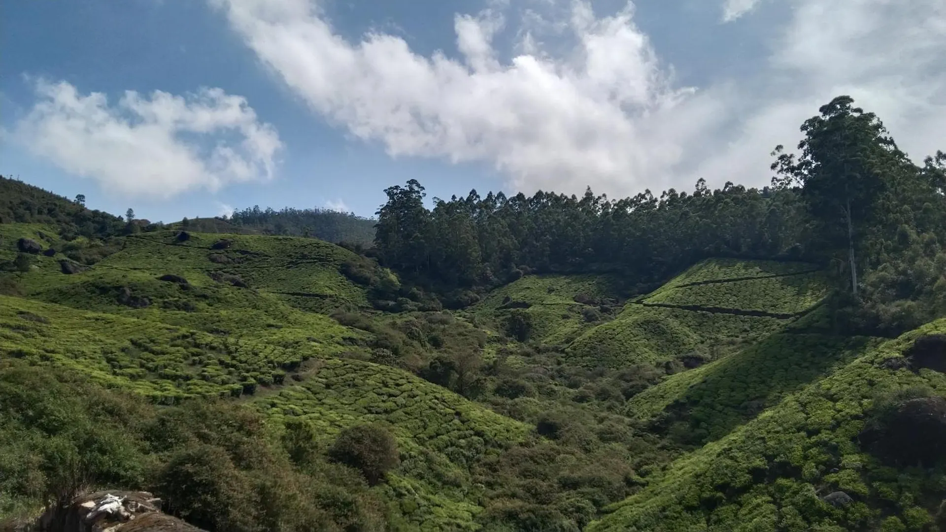 Ad Homestay Munnar India