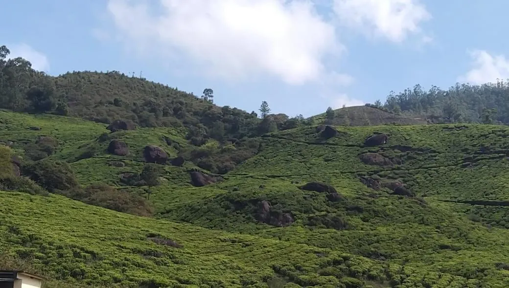 Ad Homestay Munnar